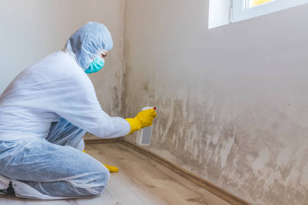 Hvac And Air Duct Mold Remediation inspection of HVAC system in Albertson